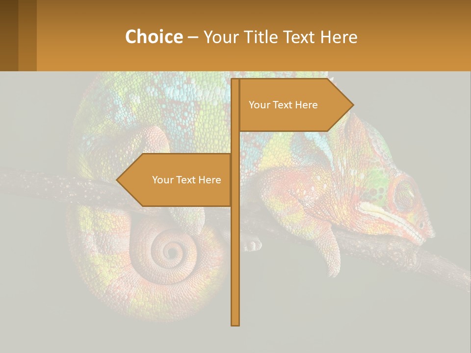 Build Architect Dream PowerPoint Template
