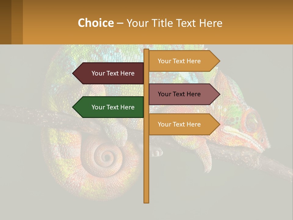 Build Architect Dream PowerPoint Template