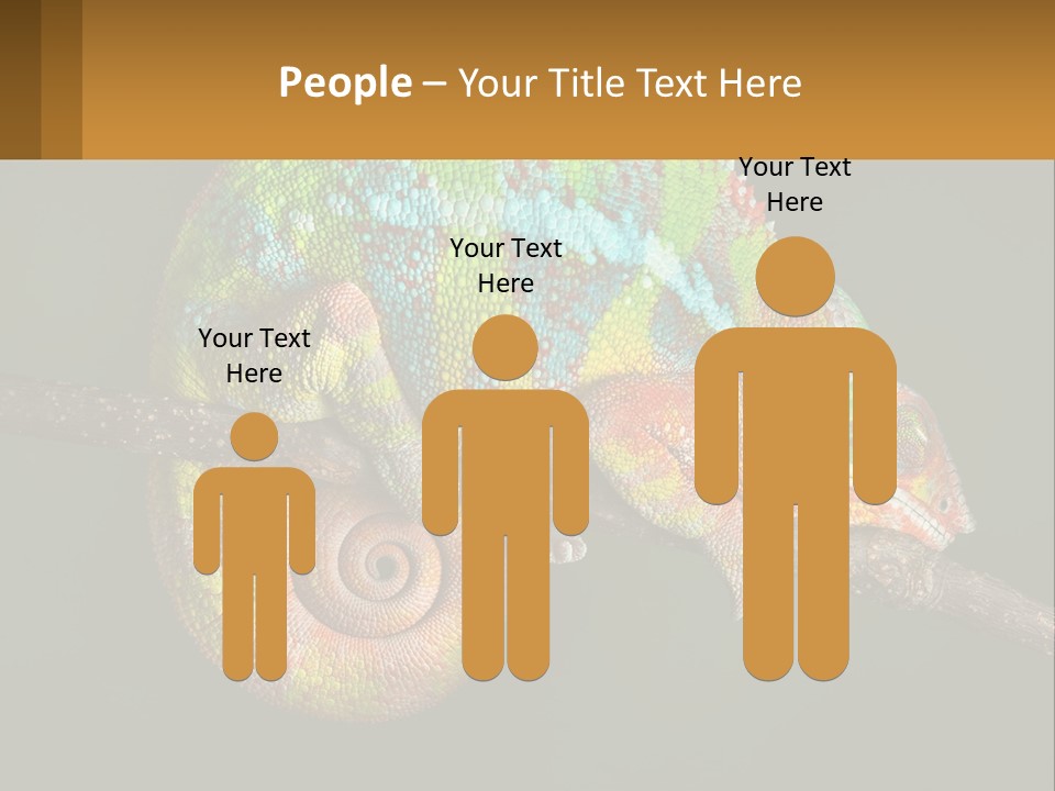 Build Architect Dream PowerPoint Template