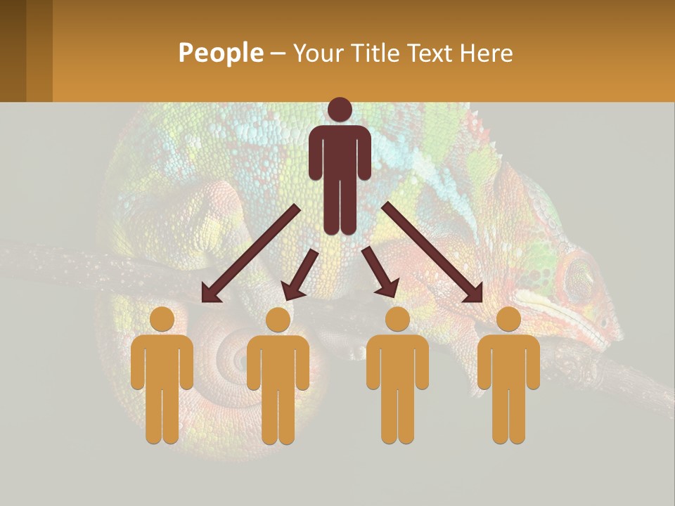 Build Architect Dream PowerPoint Template