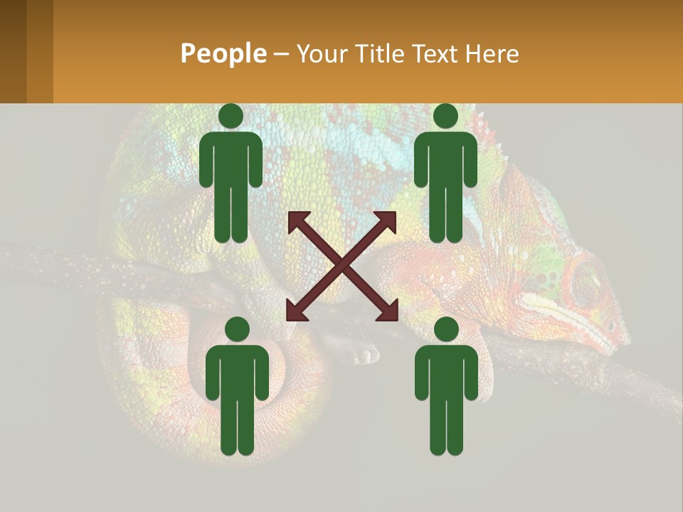 Build Architect Dream PowerPoint Template