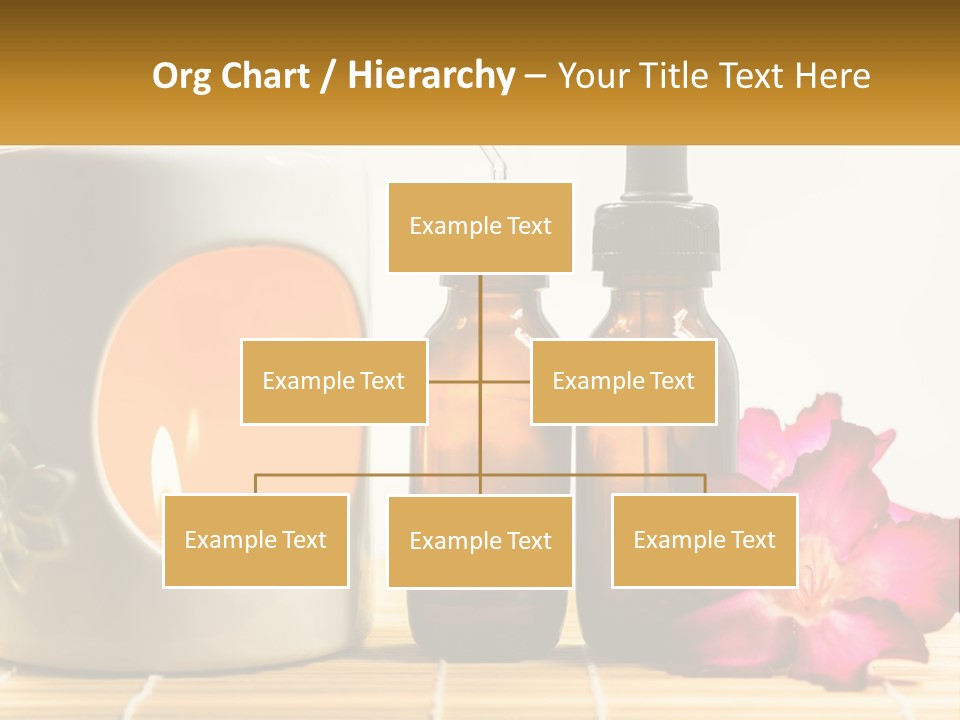 Nature Leaf Investment PowerPoint Template