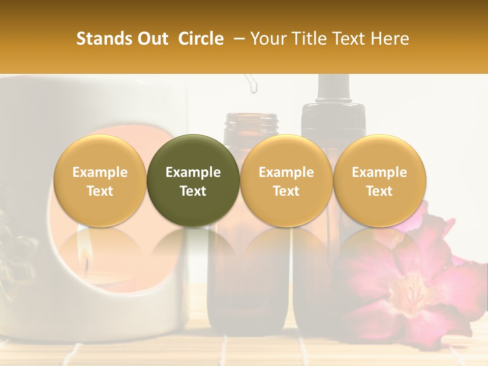 Nature Leaf Investment PowerPoint Template