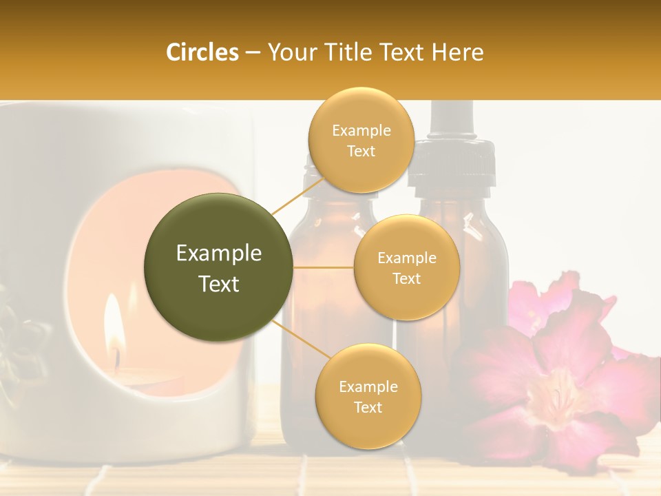 Nature Leaf Investment PowerPoint Template