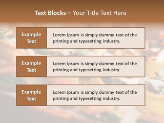 Estate Residential Human Hand PowerPoint Template