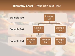 Estate Residential Human Hand PowerPoint Template