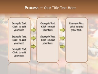 Estate Residential Human Hand PowerPoint Template