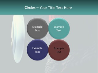 Business House Ownership PowerPoint Template
