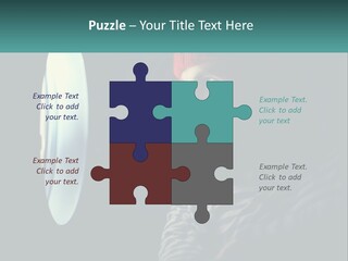 Business House Ownership PowerPoint Template