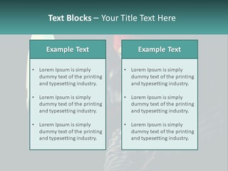 Business House Ownership PowerPoint Template