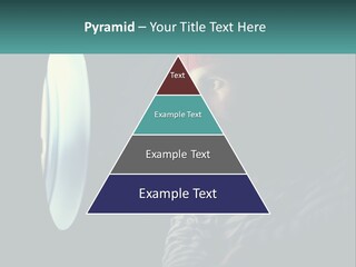 Business House Ownership PowerPoint Template