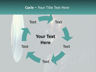 Business House Ownership PowerPoint Template