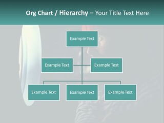 Business House Ownership PowerPoint Template