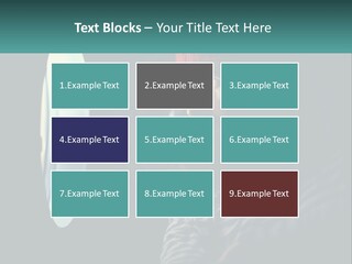 Business House Ownership PowerPoint Template