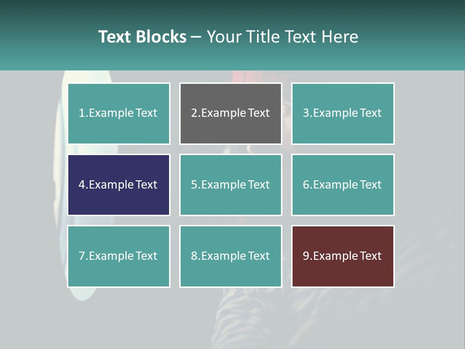 Business House Ownership PowerPoint Template
