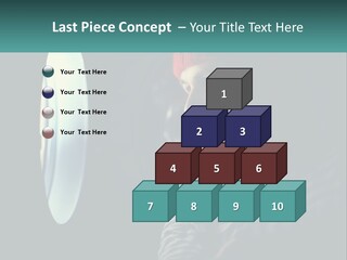 Business House Ownership PowerPoint Template