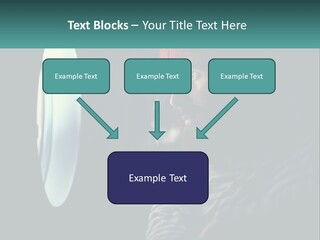 Business House Ownership PowerPoint Template