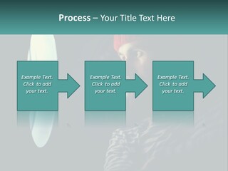 Business House Ownership PowerPoint Template