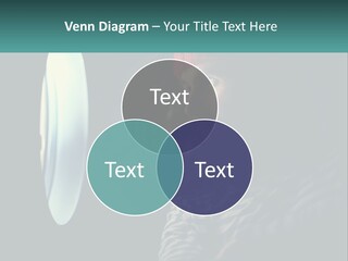 Business House Ownership PowerPoint Template