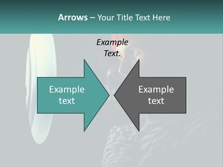 Business House Ownership PowerPoint Template