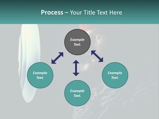 Business House Ownership PowerPoint Template