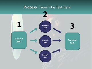 Business House Ownership PowerPoint Template