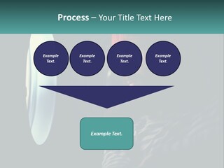 Business House Ownership PowerPoint Template