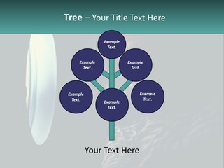 Business House Ownership PowerPoint Template