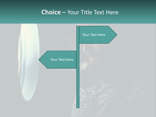 Business House Ownership PowerPoint Template