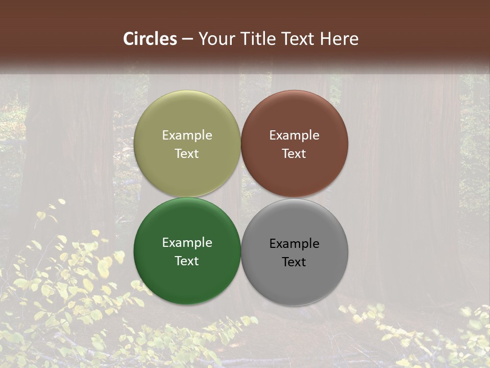 Agent Man Background PowerPoint Template