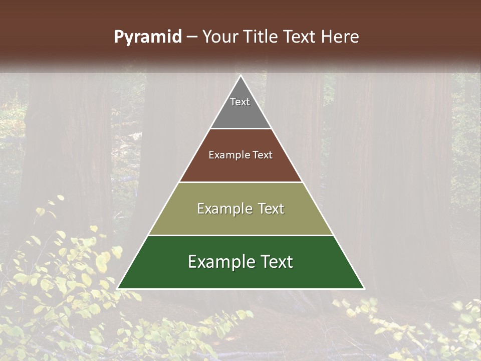 Agent Man Background PowerPoint Template