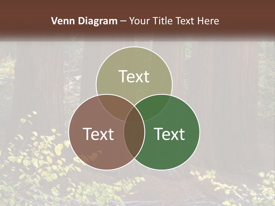 Agent Man Background PowerPoint Template