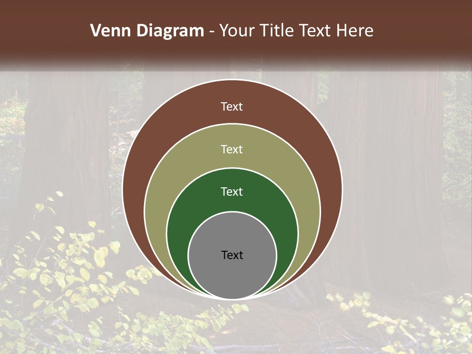 Agent Man Background PowerPoint Template