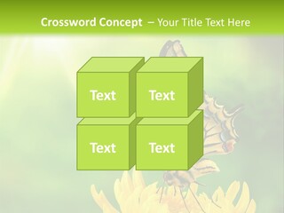 Cloud Agent Blue Sky PowerPoint Template