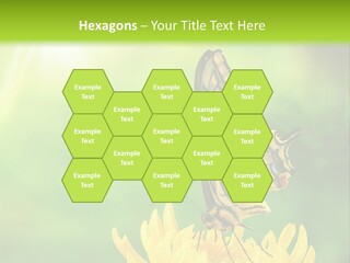 Cloud Agent Blue Sky PowerPoint Template