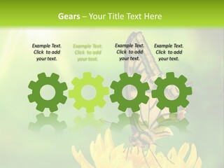 Cloud Agent Blue Sky PowerPoint Template
