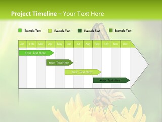 Cloud Agent Blue Sky PowerPoint Template