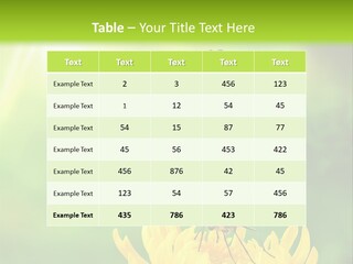 Cloud Agent Blue Sky PowerPoint Template