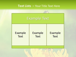 Cloud Agent Blue Sky PowerPoint Template
