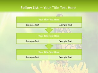 Cloud Agent Blue Sky PowerPoint Template