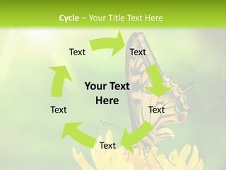 Cloud Agent Blue Sky PowerPoint Template