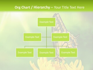 Cloud Agent Blue Sky PowerPoint Template