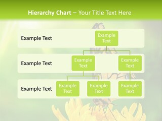 Cloud Agent Blue Sky PowerPoint Template