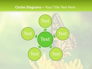 Cloud Agent Blue Sky PowerPoint Template