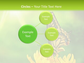 Cloud Agent Blue Sky PowerPoint Template