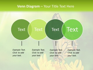 Cloud Agent Blue Sky PowerPoint Template