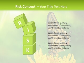 Cloud Agent Blue Sky PowerPoint Template