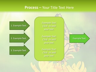 Cloud Agent Blue Sky PowerPoint Template