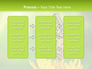 Cloud Agent Blue Sky PowerPoint Template