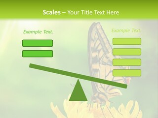 Cloud Agent Blue Sky PowerPoint Template